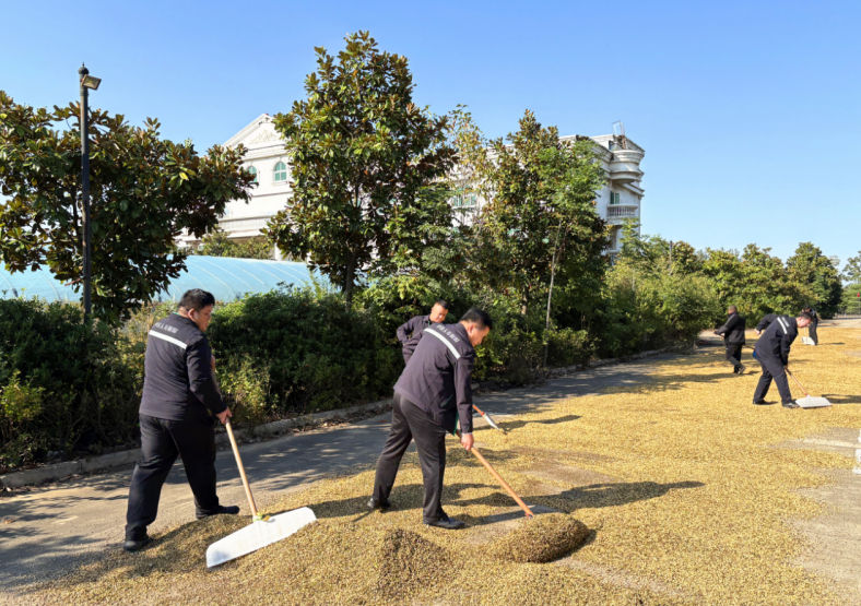 screenshot_2025-10-28_154425_004.png screenshot_2025-10-28_154425_004.png